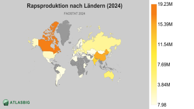 Rapsproduktion nach Ländern (2024) Thumbnail