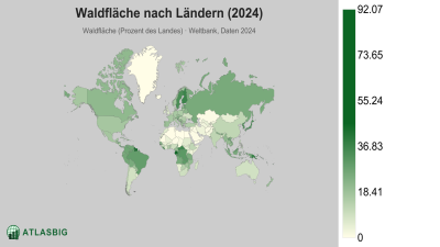 Waldfläche nach Ländern 2026