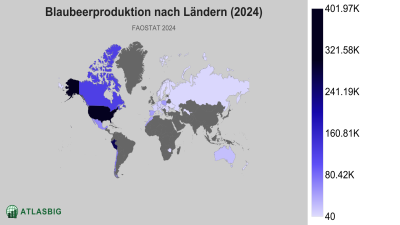 Länder nach Heidelbeerproduktion Thumbnail