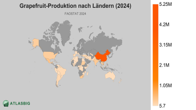 Länder nach Grapefruitproduktion Thumbnail