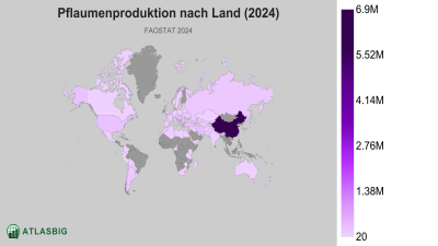 Pflaumenproduktion nach Land (2024) Thumbnail