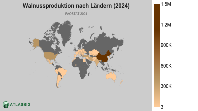 Walnussproduktion nach Ländern (2024) Thumbnail